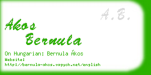 akos bernula business card